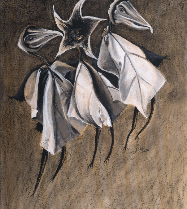 Les Danseuse – Guam Textures series, Pastels on Sanded Paper, 2020, 20 x 15in