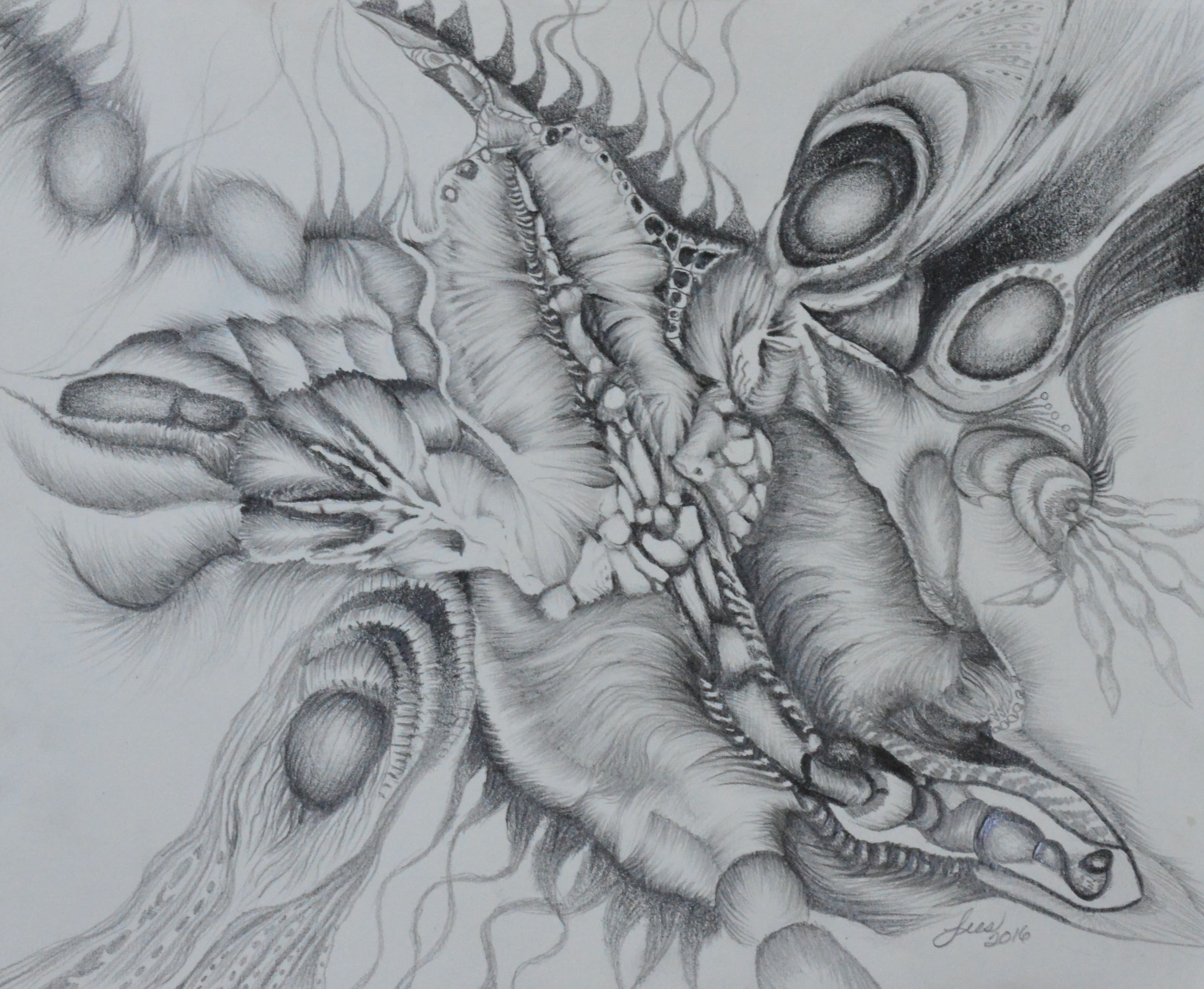 Sea Creature, Graphite on Paper, 2016, 8 x 10in